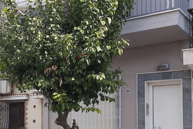 Ανακαίνιση Διώροφης Κατοικίας 100 τ.μ. στον Βύρωνα