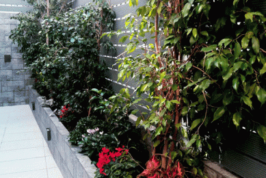 Ολική Ανακαίνιση Διαμερίσματος 80 τ.μ. στα Βριλήσσια